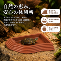 Reptile Water Dish, Water Feeder, For Tortoises, For Terrariums, Plastic, Small, 18.5×14×2.5cm, Easy to Clean