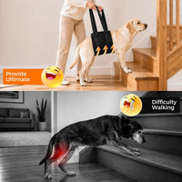 Pet Dog Walking Assistance Belt for Elderly or Injured Dogs