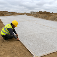 Geosynthetic Clay Liner Bentonite Liner Impermeable Sheet Dam Waterproof Sheet Landfill Impermeable Sheet 5000g