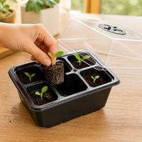 Seedling Raising Tray, With Lid, Set of 3, Plastic, With Transparent Humidity Dome, For Home Gardening, For Beginner Gardeners