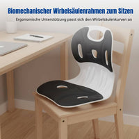 Ergonomic Lumbar Support Chair, Viscoelastic Foam Seat Pad, Office, Students