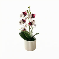 Artificial Flower Arrangement Plastic Potted Flower All Year Round Color