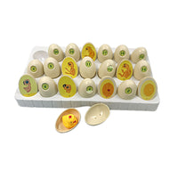 Chick Life Cycle Educational Toy for Kids 4-6 Years, DIY Science Kit