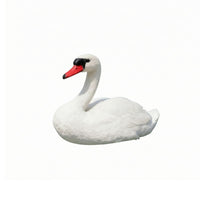 Swan Garden Ornament Realistic Animal Sculpture Freestanding for Pond