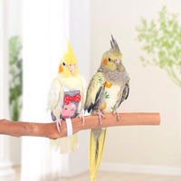 Parrot Nappy Paper Material Pet Bird Diaper, Bird Droppings Collector for Parakeet Cockatiel Macaw Budgie Hygiene Pack of 1