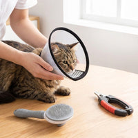 Dog Cone Pet Recovery with Snap Buttons, Transparent Pet Cone for Dogs Cats After Surgery, Stop Licking Cat Cone Kit