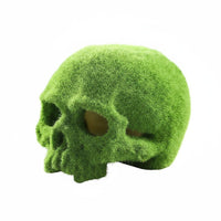 Resin Lichen Skull Ornament Provides Shelter Aquarium Skull Cave for Terrarium