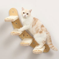 Cat Climbing Wall with Wooden Shelf and Perch, Modern Frame Including House and Pad, Indoor Furniture for Large Cats and Kittens