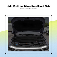 Waterproof LED hood light, plug & play