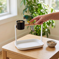 Parrot Training Perch Stand for Small Birds - Desktop Playstand with Solid Wood Perch