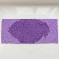 150D Microfibre Cloth and Microfibre Towel, 33cm x 75cm Microfibre Cloth with Bound Border, Quick-Dry for Car Detailing and Household Cleaning