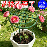 花支架月季花架植物盆室内花卉支撑杆园艺绿萝支架爬藤架客厅绿植