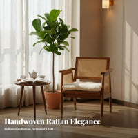 Cane rear Armchair Woven rearrest Single Person Armchair Vintage Inspired Sturdy Construction for Interior Designers, Homeowners