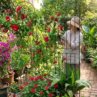 Garden Decor Arched Garden Trellis for Climbing Sweet Pea, Metal Garden Trellis Panels for Plant Support, Wrought Obelisk Style