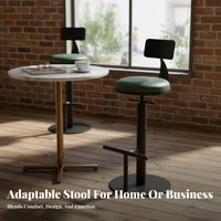 Adjustable rotate Stool with rear supportrest Minimalist Design for Adults, Entertainers