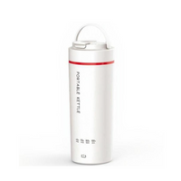 Travel Hot Pot, Portable Electric Kettle, Hotel Heater