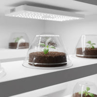 Hydroponic Basket Kit Indoor Gardening Grow Sponge Replacement Set
