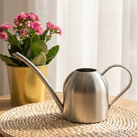450ml Silver Mini Watering Can, Steel Indoor Watering Can with Ergonomic Grip, for Potted Plant & Houseplant Care