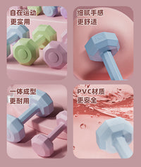 哑铃女士健身器材家用杠铃壶铃儿童女小哑铃2KG一对锻炼力量训练