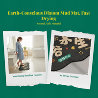 Bathroom Mat, Diatomaceous Earth Bath Rug, Quick Dry, Non-Slip, Absorbent, Thick Floor Carpet