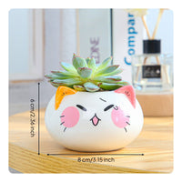 Mini Ceramic Cat Planter With Drainage Hole Cartoon Animal Plant Pot Handmade Small Animal Planter for Balcony