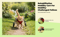Adjustable wheelchair for disabled cats