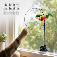 Interactive Suction Cup Cat Toy with Feather and Bird Design for Indoor Cats