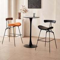 Nordic Luxury Bar Stool with Iron Backrest