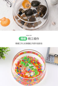 金鱼缸玻璃圆形办公桌客厅水培家用小鱼缸透明小型迷你造景乌龟缸 20龟缸送六件礼品 含彩石