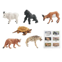 Jungles Animal Playset Realistic Animal Model Wildlife Figure Set for Kids, Classroom, Home Education, Playroom