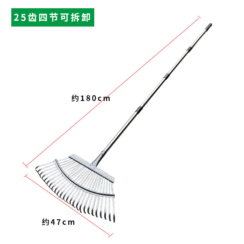 25 Teeth Rake