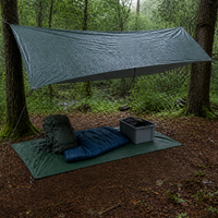 Outdoor Camping Moisture-Proof Mat Thickened Ground Sheet Tent Bottom Picnic Mat Waterproof
