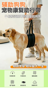 狗狗辅助带老龄犬上楼腿部背带走路狗腿护残疾疾复带跨境代发XJ