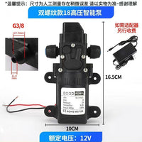 18-Thread Multi-Purpose 12V Diaphragm Pump for Car Washing