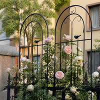 Garden Trellis, For Roses, Training, For Climbing Roses, Iron Fence, 50cm x 120cm, Metal Trellis