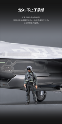 Xinghe Moban Asian Fighter Pilot 1/48 3D Printed Model