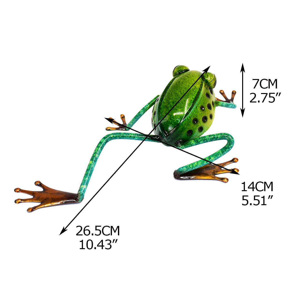 Frog B