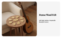 10 Pieces Textured Felt Plectrum
