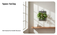 Thickened and Long-Lasting Staghorn Fern Board Stylish Black Finish Staghorn Fern Mount Easy Installation Flowering Plant Mounting Plaque Space-Saving for Gardeners, Home Decorators, Indoor, Greenhouse, Balcony, Living Room