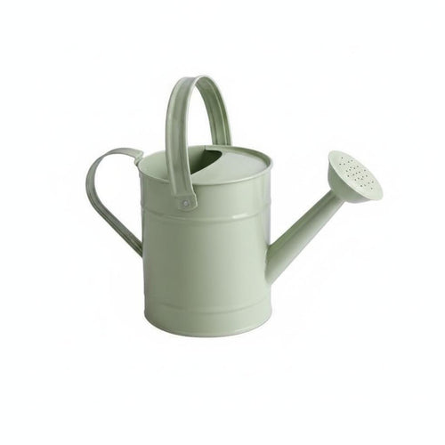 Metal Watering Can Perforated twoHandle Watering Can Ergonomic Grip