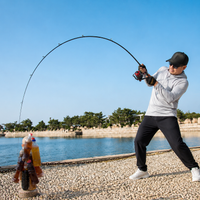 fishing rod and reel combo