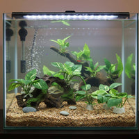 4 Pieces Driftwood Decor Multi-Use Aquarium Plant Set Aquarium Driftwood