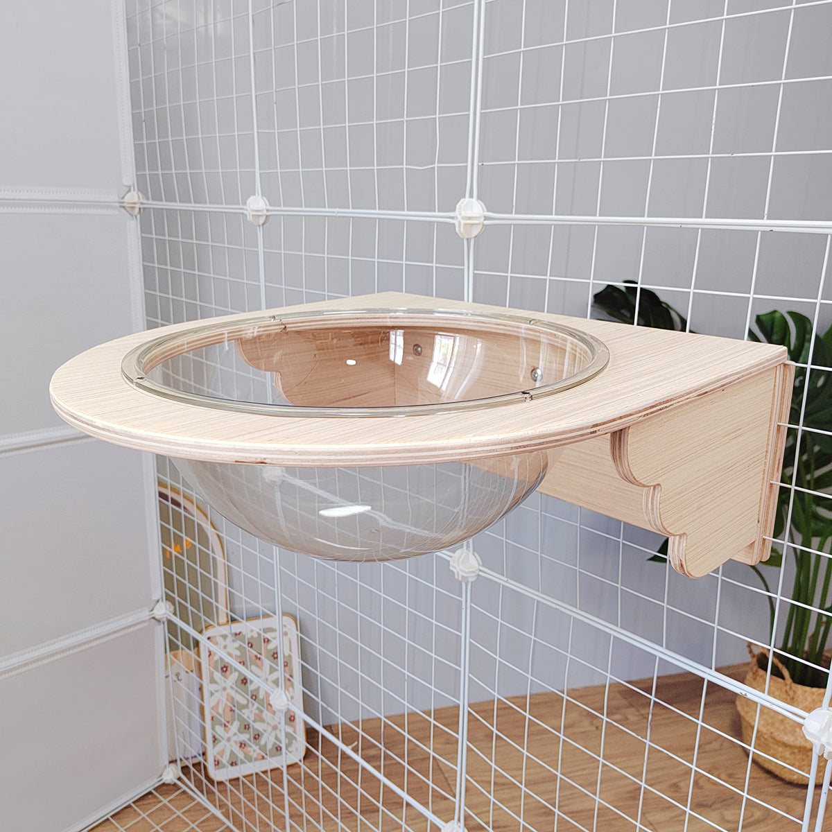 猫笼壁挂猫爬架猫笼一体梯子跳板悬挂式太空舱猫柜笼挂猫抓板平台