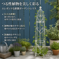 Iron Retro Trellis, 20-50cm, Small Obelisk, Clematis Support, Garden Decoration