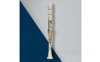 Clarinet with Hard Case Resin   Clarinet 17-Key Woodwind for Lessons, Practice Rooms