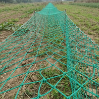 Garden Trellis Netting for Climbing Plants, Fruits, and Vegetables