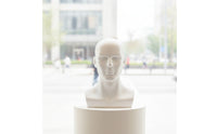 Male Mannequin Head with Shoulders Realistic Mannequin Head with Shoulders Matte for Shop Display, Window Decoration, Salon