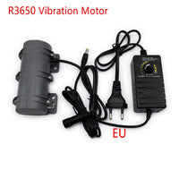 R3650 DC 12V/24V Vibration Motor for Massage Bed, Particle Feed, Physiotherapy Accessories (US Plug)