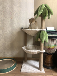 椰子树猫爬架仙人掌猫窝大猫抓柱猫自嗨玩具磨爪耐磨不掉屑小逗猫 新款椰子树双层猫爬架