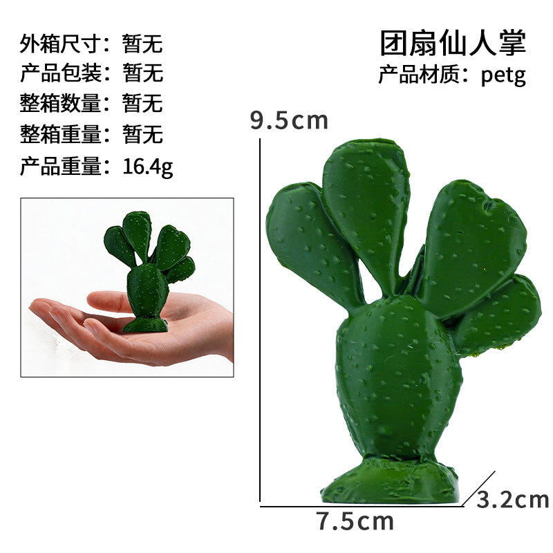 Prickly Pear Cactus